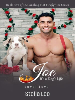 cover image of Joe